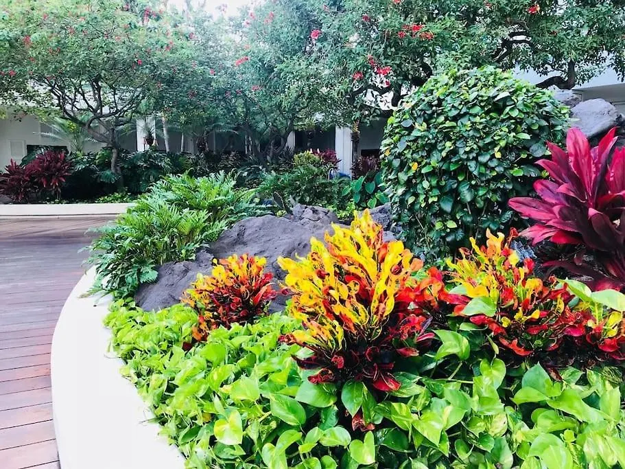Ilikai Hotel Condos Honolulu
